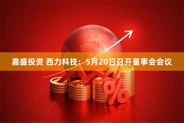 嘉盛投资 西力科技：5月20日召开董事会会议