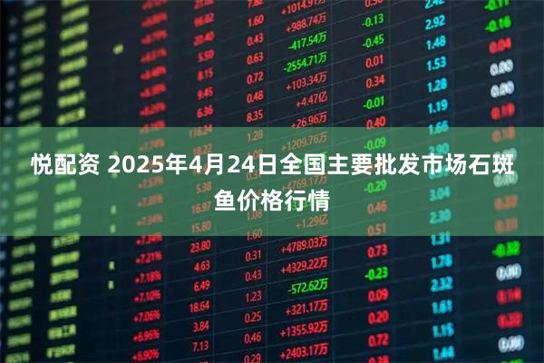 悦配资 2025年4月24日全国主要批发市场石斑鱼价格行情