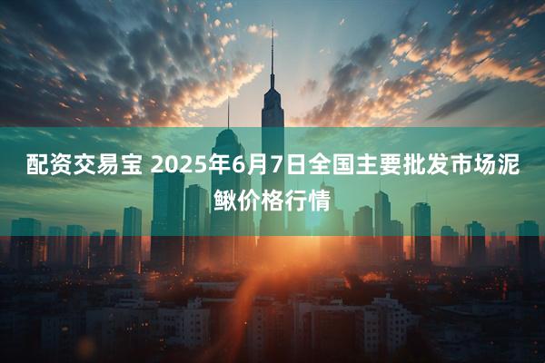 配资交易宝 2025年6月7日全国主要批发市场泥鳅价格行情